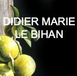 photo Didier Marie Le Bihan - citrons hyperlink2